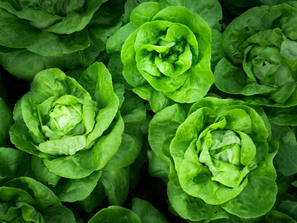 Fresh produce