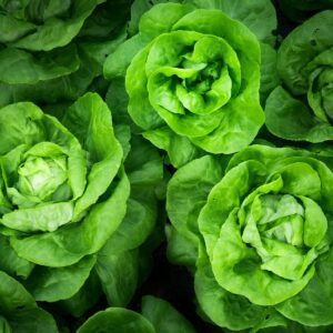 Fresh produce